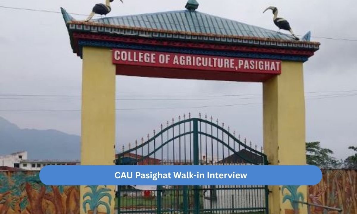 CAU Pasighat Walk-in Interview